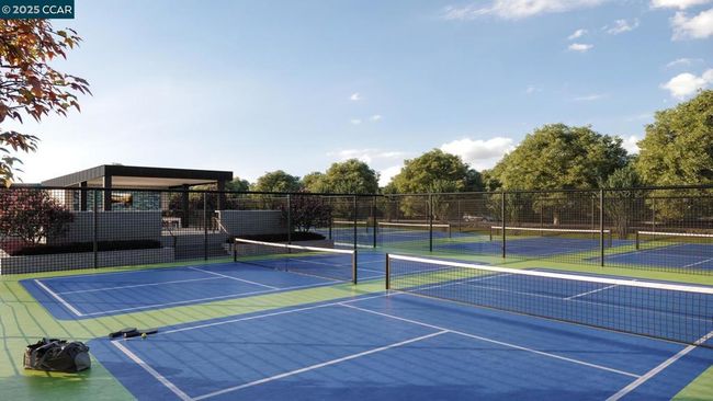 Community Court | Image 19