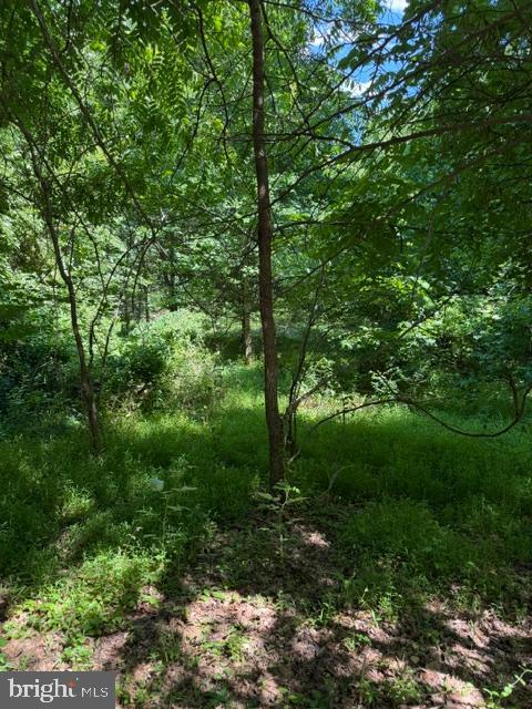 Land in CROWNSVILLE 2