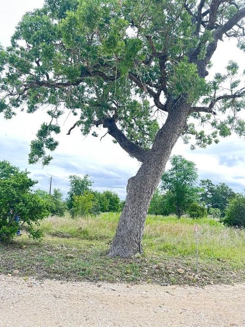 136 Wild Bird Loop, Smithville, TX, 78957 | Card Image