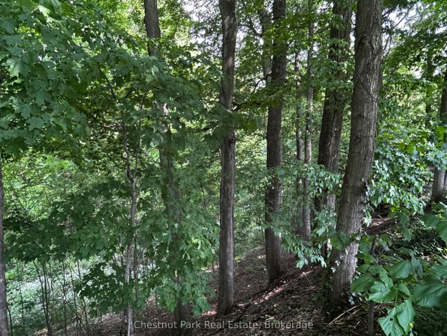 162 5th Ave E, House other with 3 bedrooms, 3 bathrooms and 4 parking in Owen Sound ON | Image 8