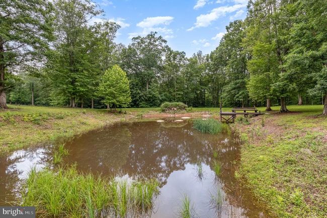 4323 Mount Ephraim Rd, House other with 6 bedrooms, 5 bathrooms and null parking in SUMERDUCK VA | Image 46