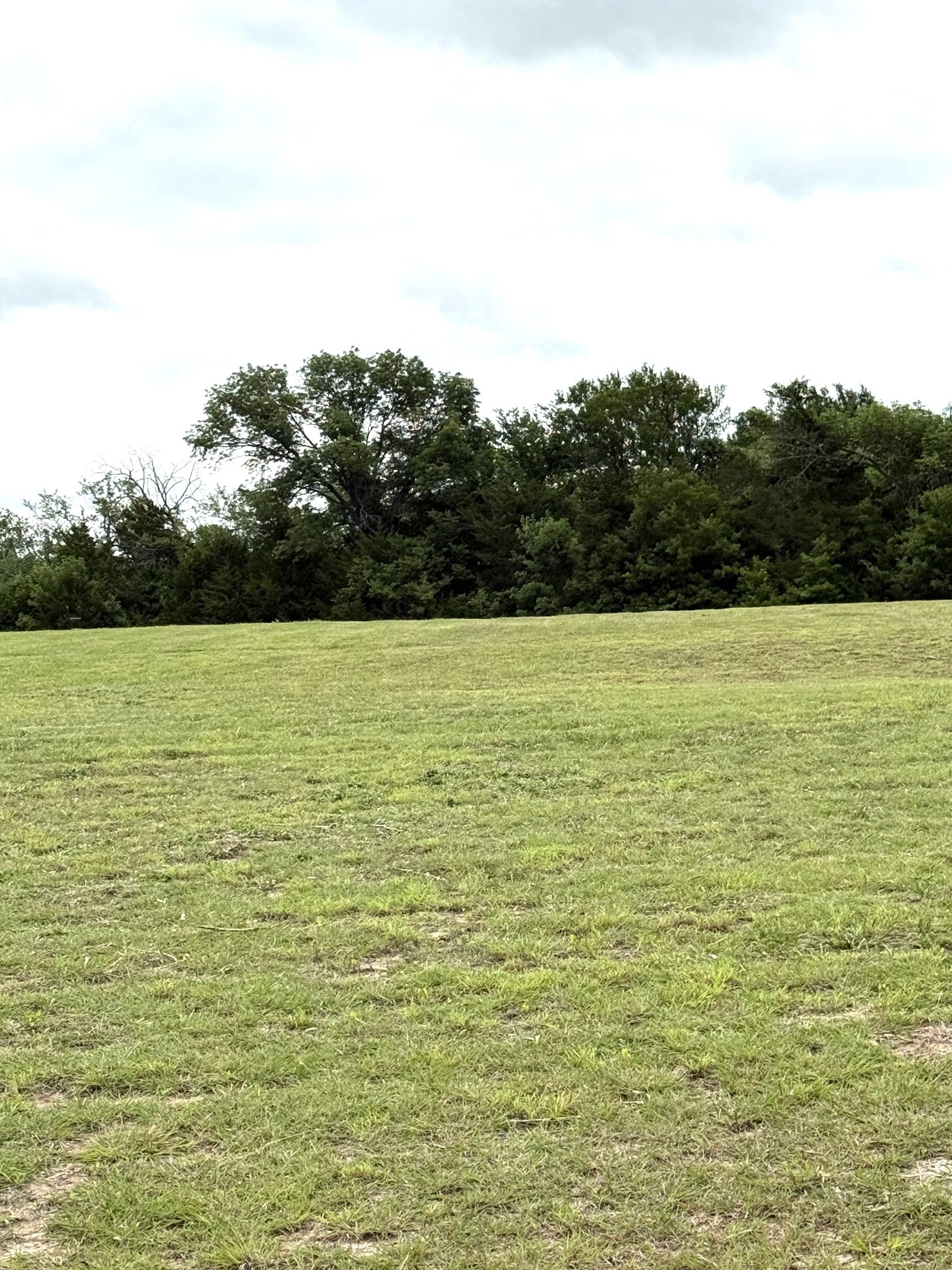 Land in Sherman 4