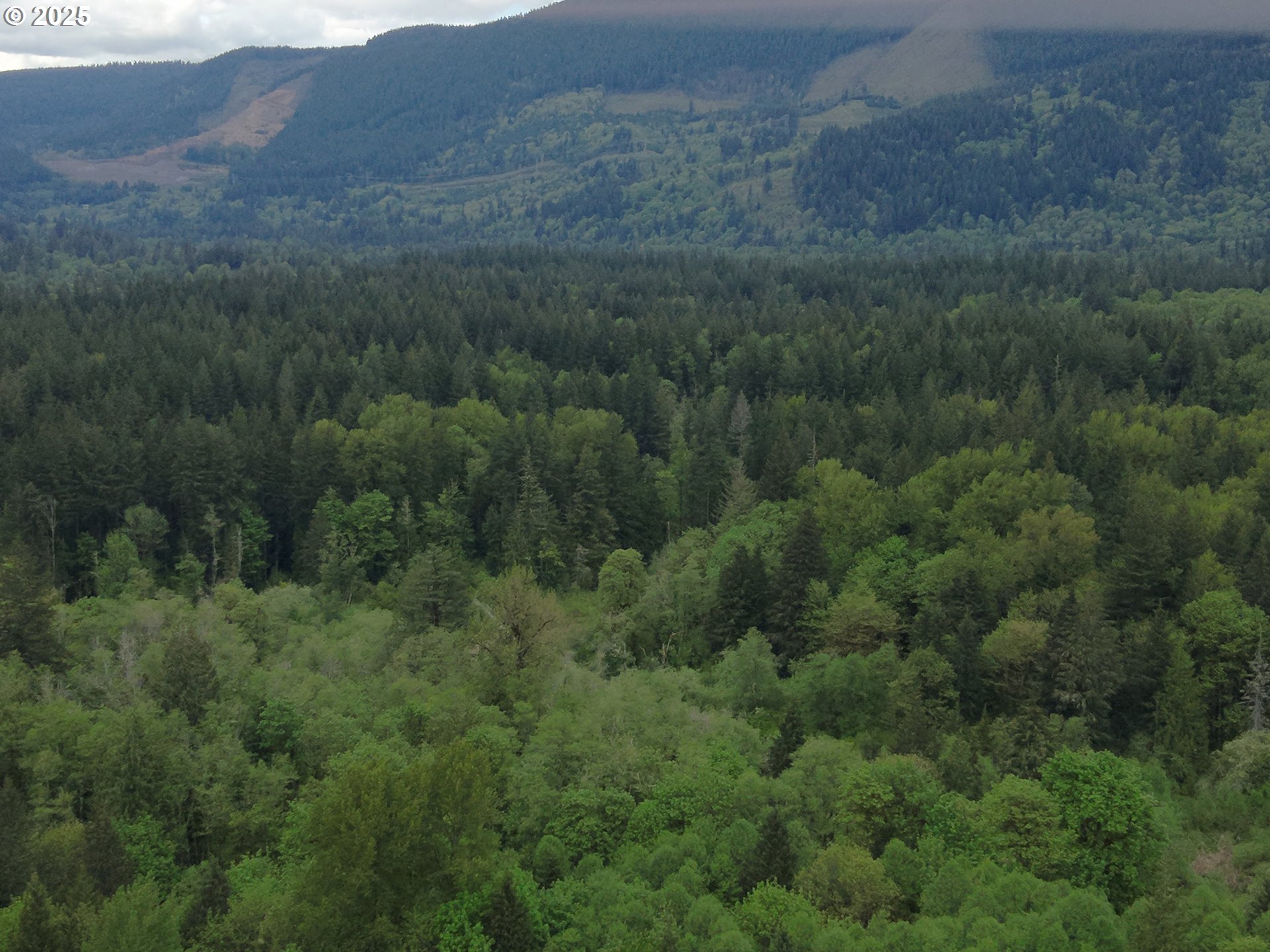 Land in Welches 4