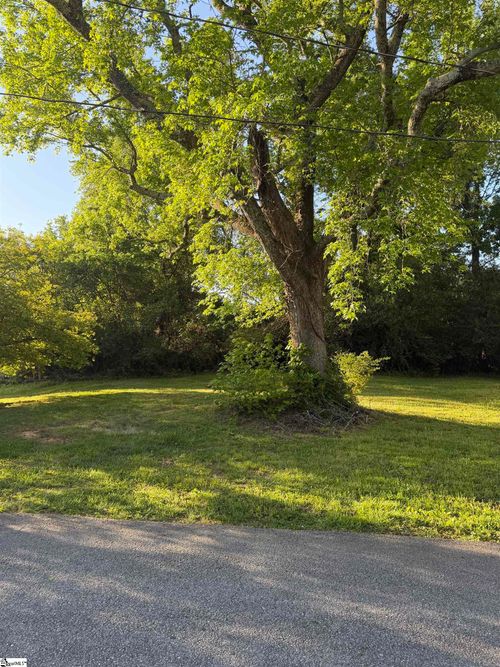 133 Williams Street, Woodruff, SC, 29388 | Card Image