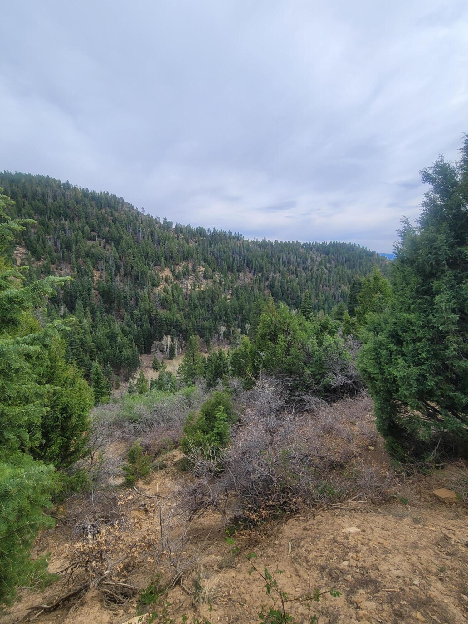 Land in Duck Creek Village 4