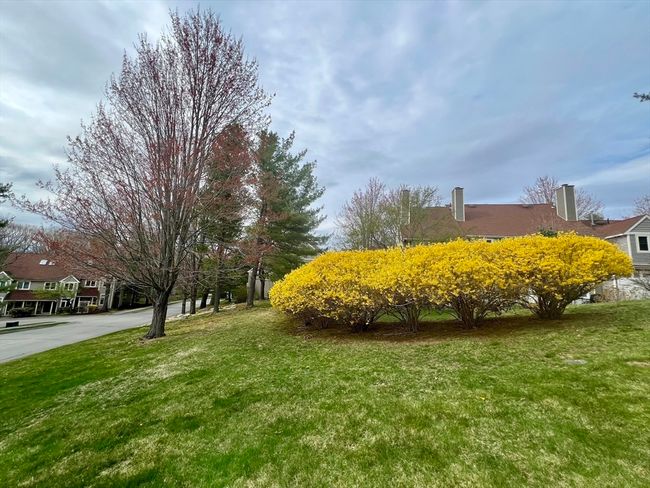 8 - 8 Kendalls Ml, Condo with 2 bedrooms, 2 bathrooms and 1 parking in Woburn MA | Image 31