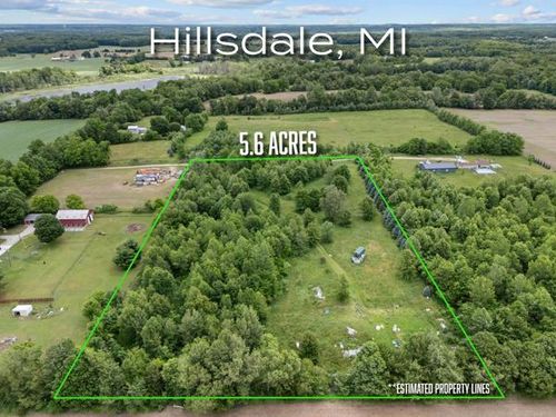 6691 W Hallett Road, Hillsdale, MI, 49242 | Card Image