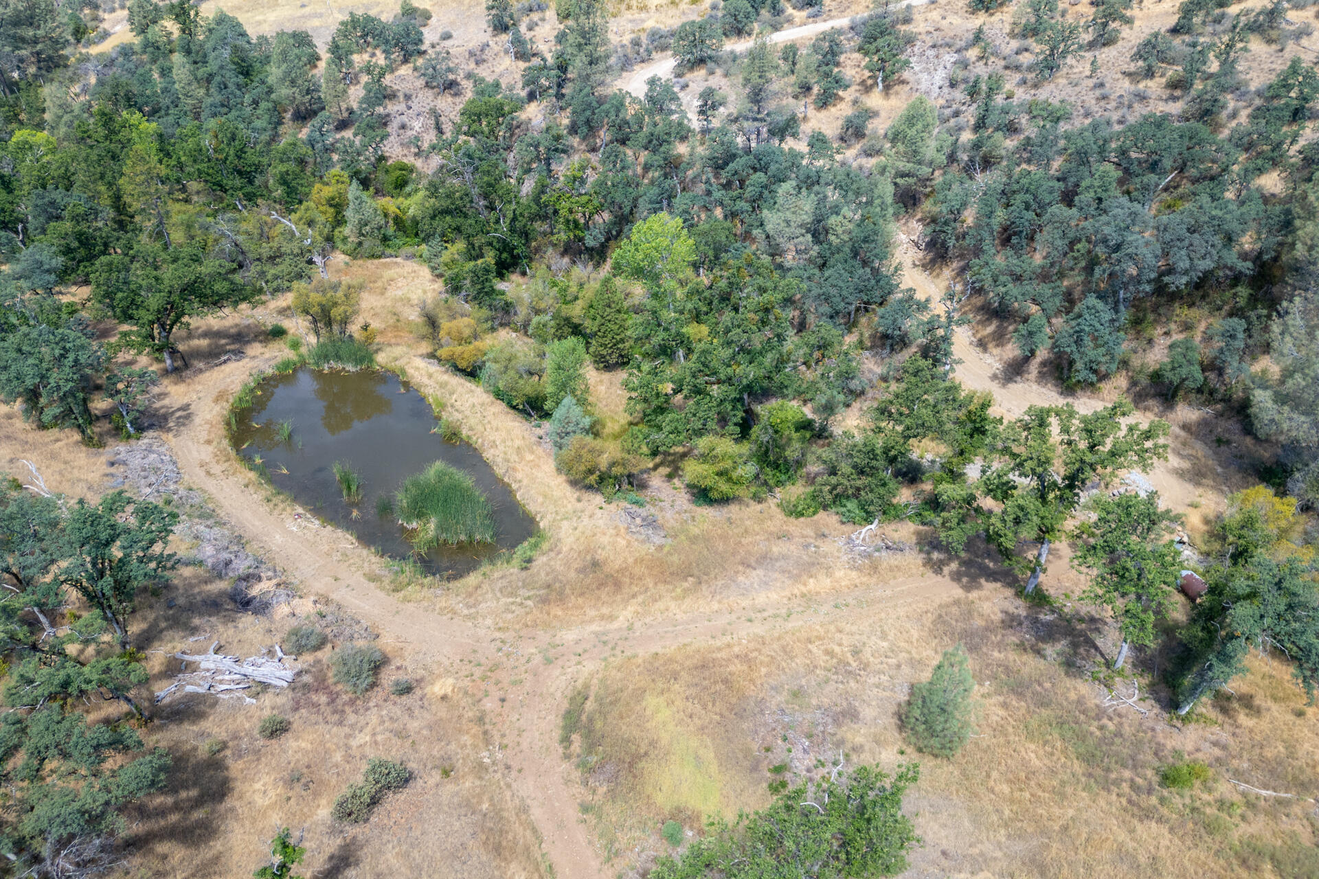 Land in Shingletown 4