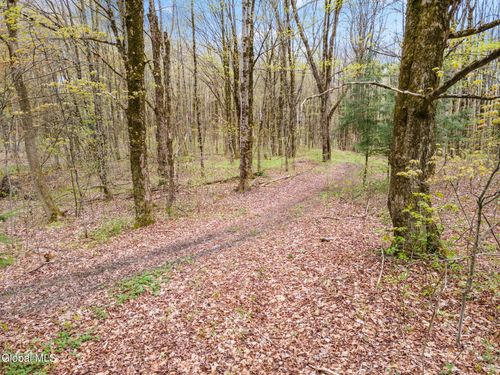 L15 Kostenko Sutton Road, Pitcher, NY, 13136 | Card Image