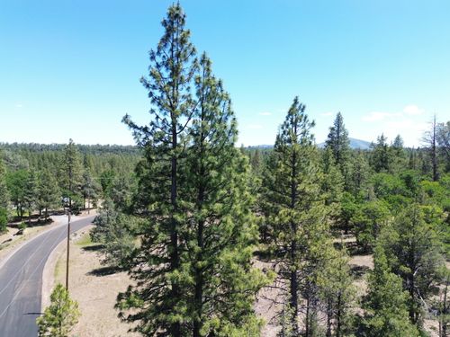 0000 Shoshoni Loop, Fall River Mills, CA, 96028 | Card Image