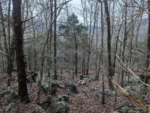 0 Martin Gaines Rd, South Pittsburg, TN, 37380 | Card Image