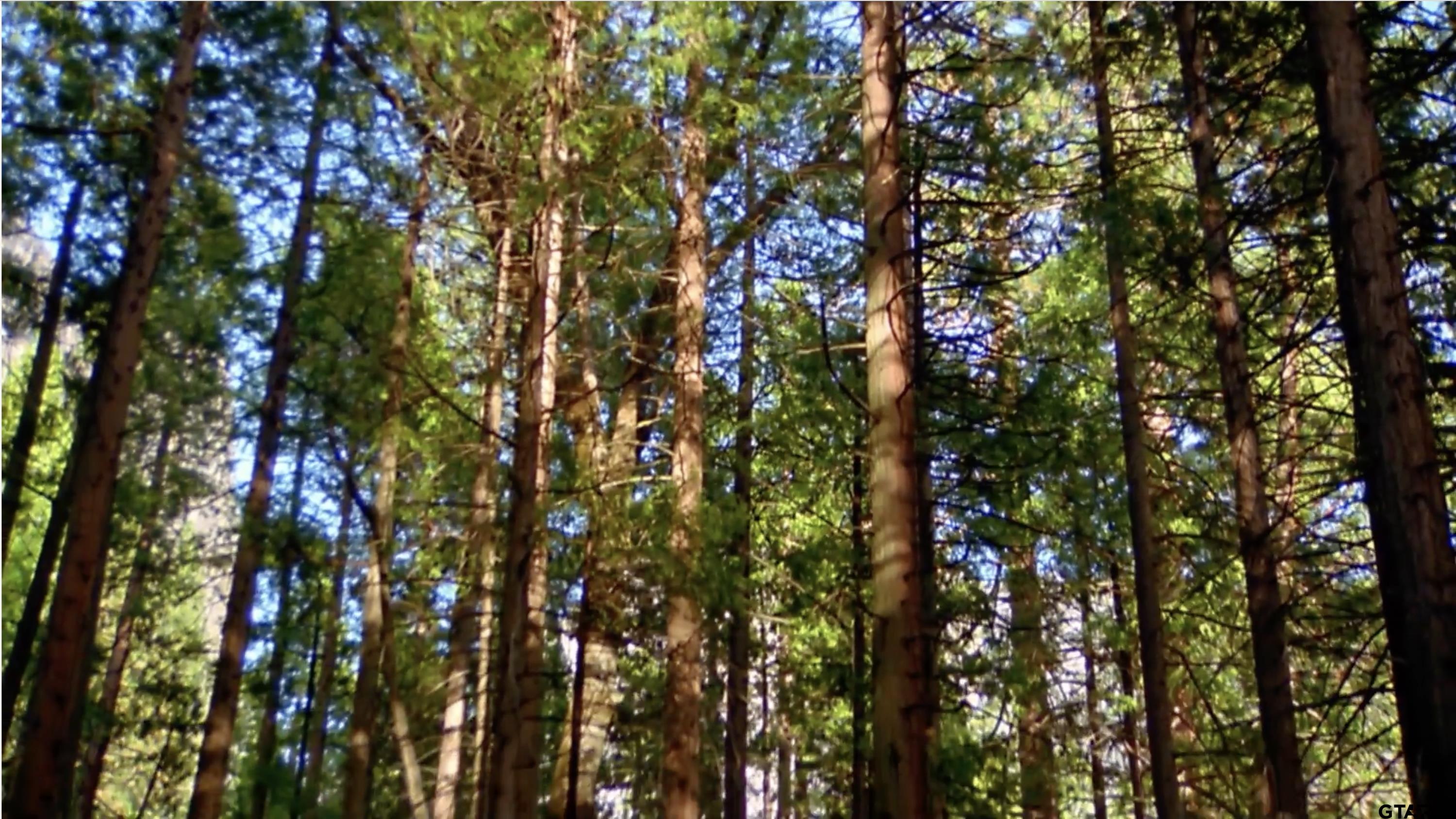 Land in Montalba 4
