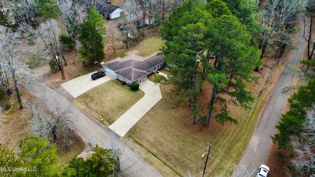 AERIAL | Image 7