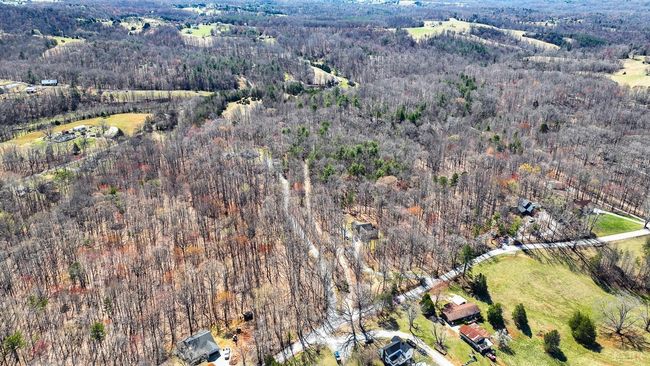 0 Old Cifax Rd, Home with 0 bedrooms, 0 bathrooms and null parking in Goode VA | Image 10