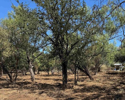 Lots 290 & 291 Maple, Granite Shoals, TX, 78654 | Card Image