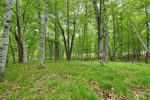 19311 Newgate Ave N, Marine On Saint Croix, MN, 55047-9691 | Card Image