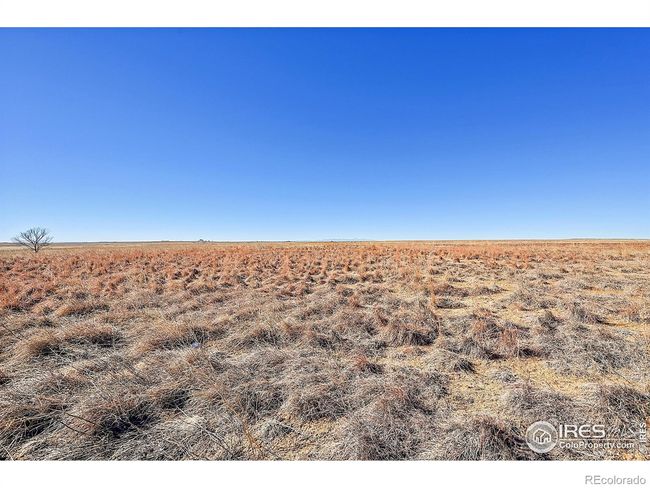 17251 County Road 2, House other with 4 bedrooms, 2 bathrooms and 14 parking in Rush CO | Image 19