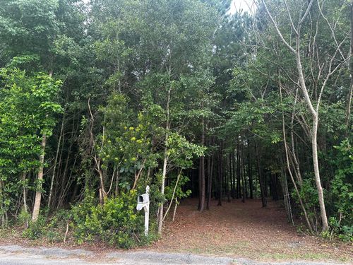 0 Roosevelt St, Elloree, SC, 29047 | Card Image