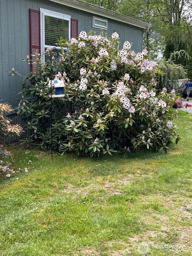 930 Tipsoo Loop N, House other with 2 bedrooms, 2 bathrooms and 2 parking in Rainier WA | Image 36
