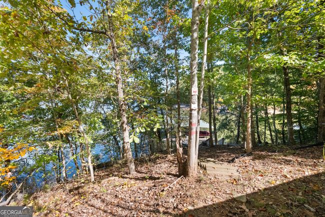 lot 2 Winterberry Lane, Home with 0 bedrooms, 0 bathrooms and null parking in Gainesville GA | Image 27