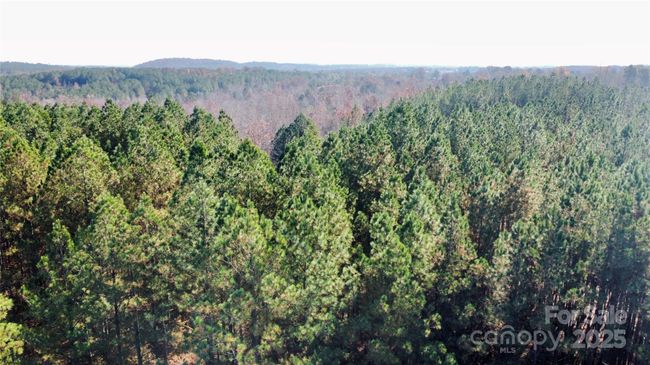 Serene, expansive, ideal for your retreat. | Image 16