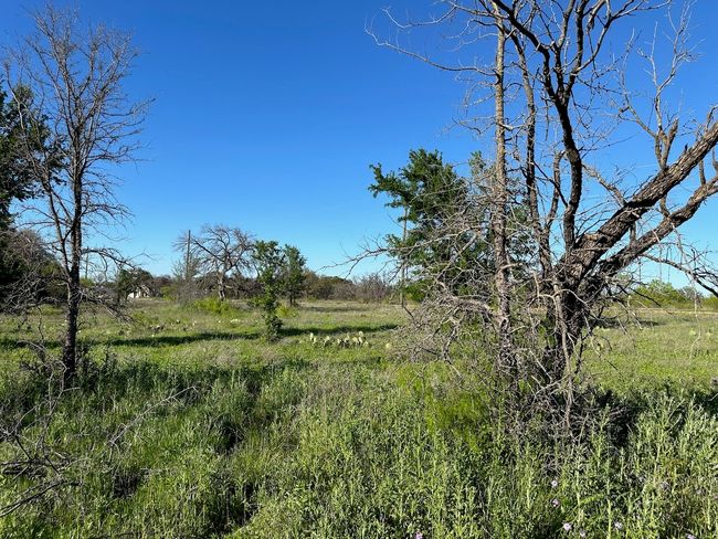 740 Downhaul Way, Home with 0 bedrooms, 0 bathrooms and null parking in Brownwood TX | Image 10