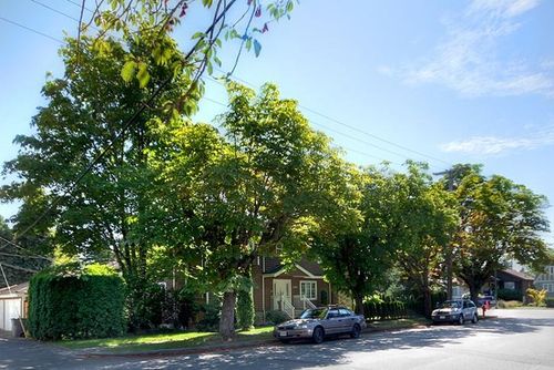 5688 Trafalgar St, Vancouver, BC, V6N1C3 | Card Image