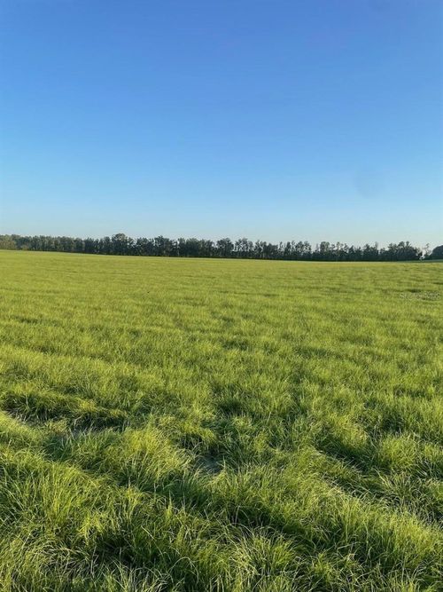 LOT 2 Nw 72nd Ct, BELL, FL, 32619-3060 | Card Image