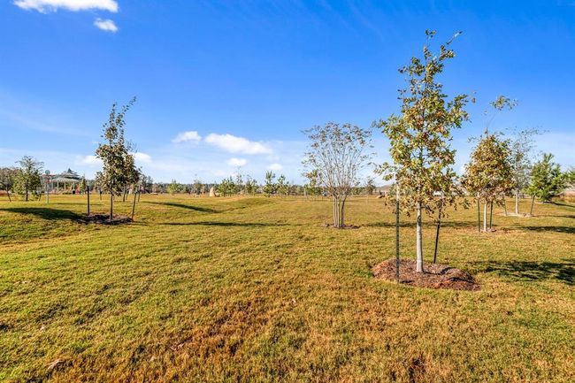 15679 Honey Cove Dr, House other with 3 bedrooms, 2 bathrooms and 2 parking in Conroe TX | Image 16