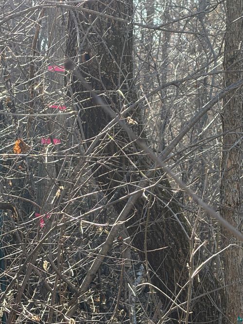 xxx Grove Ave, Moose Lake, MN, 55767 | Card Image