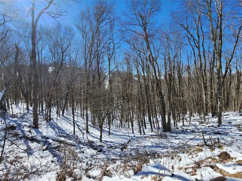 479 El Miner Dr, Mars Hill, NC, 28754-9450 | Card Image