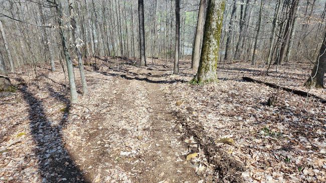 TRACT-1-PIKE-LAKE-GETAWA - 0 Pike Lake Rd, Home with 0 bedrooms, 0 bathrooms and null parking in Bainbridge OH | Image 20