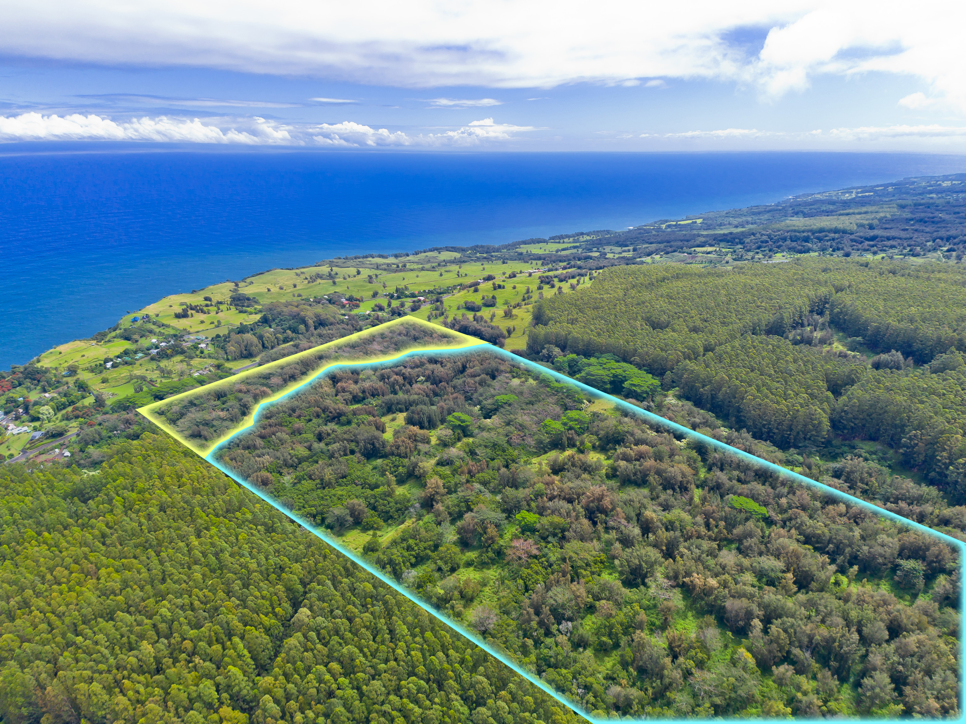 Land in Honokaa 4