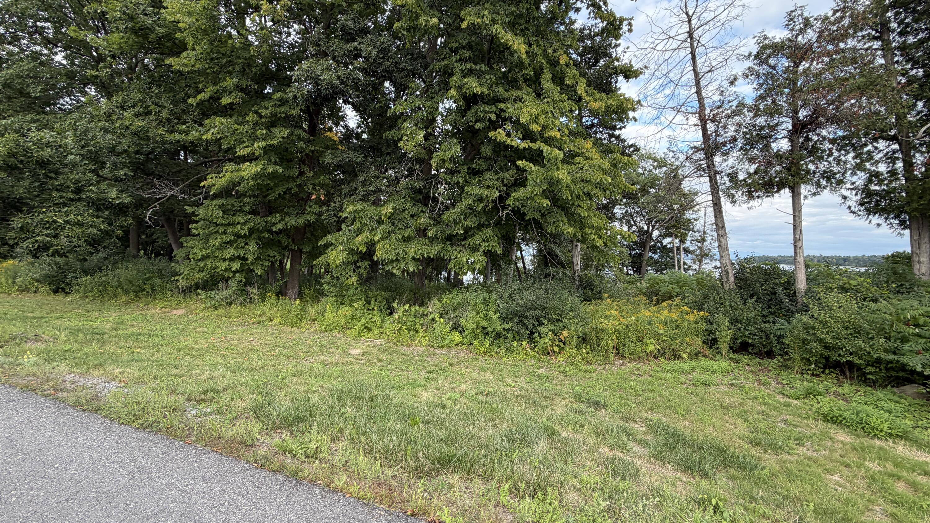 Land in Plattsburgh 5