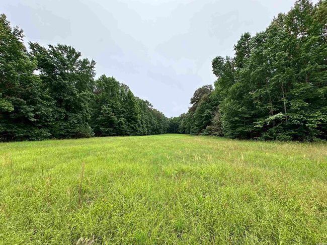 000 Oak Dale Rd, Home with 0 bedrooms, 0 bathrooms and null parking in Lonoke AR | Image 13