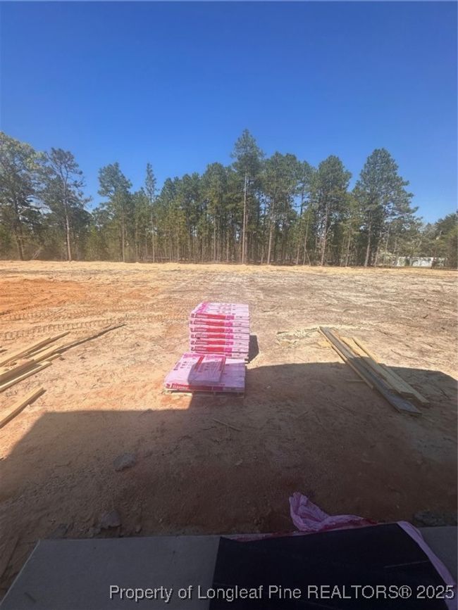 151 Merle Rd Road, House other with 4 bedrooms, 3 bathrooms and null parking in Pinebluff NC | Image 4