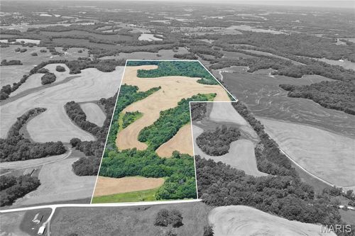 10790 Pike 107, Frankford, MO, 63441-2106 | Card Image