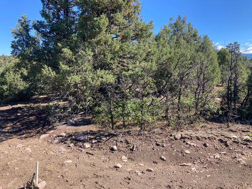 1 Tbd Ponderosa, Chama, NM, 87520 | Card Image