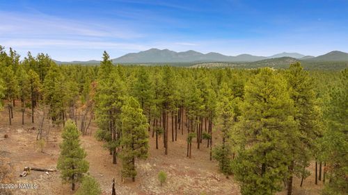 7804 E Long Bow Dr, Williams, AZ, 86046 | Card Image