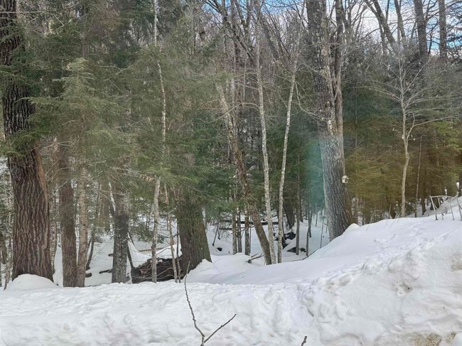 11 - 14 Streamside Rd, Condo with 2 bedrooms, 2 bathrooms and null parking in Campton NH | Image 19