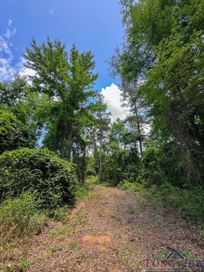 0000 Cr 1782, Home with 0 bedrooms, 0 bathrooms and null parking in Linden TX | Image 5