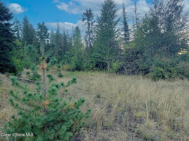 18 Majestic Mountain Rd, Home with 0 bedrooms, 0 bathrooms and null parking in Clark Fork ID | Image 42