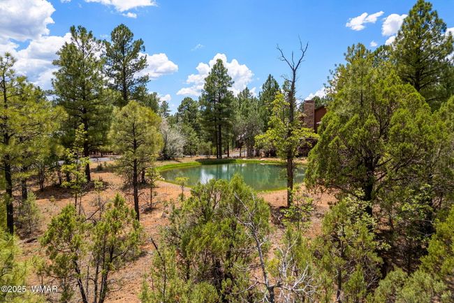 4021WRedtwigLn-ShowLow-AZ-4 | Image 29