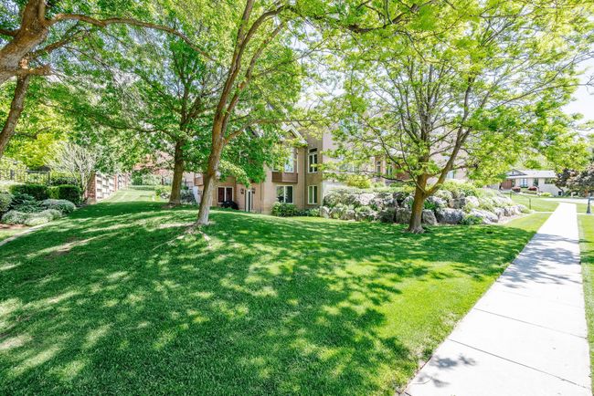 View of grassy yard | Image 78