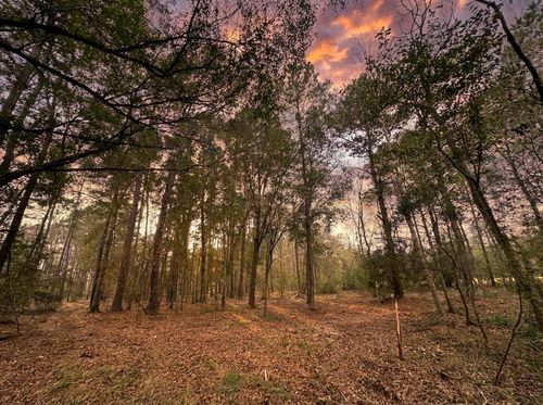 175 County Road 3017c, Dayton, TX, 77535-4007 | Card Image