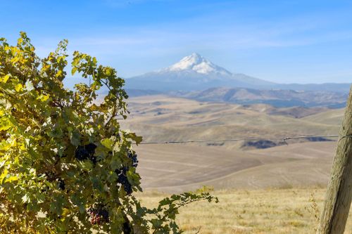 TBD Emerson Loop Road, The Dalles, OR, 97058 | Card Image