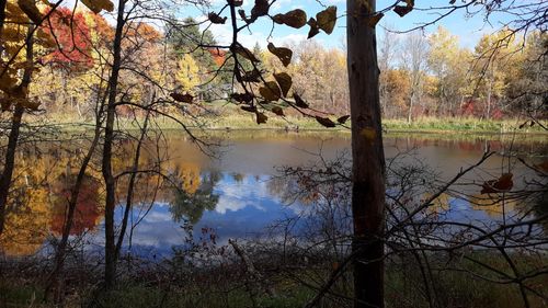 TBD Oriole Court, Browerville, MN, 56438 | Card Image