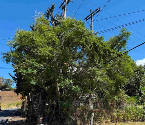 1669 Makawao Ave, Makawao, HI, 96768-9511 | Card Image