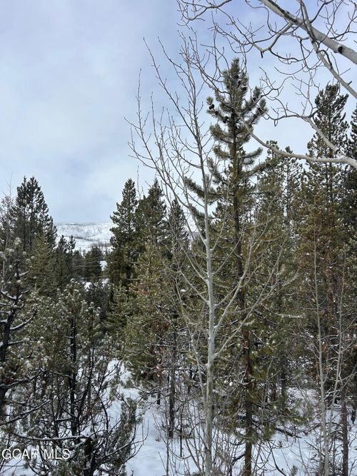 122-114, 122 Mustang Trl, Grand Lake, CO, 80447 | Card Image