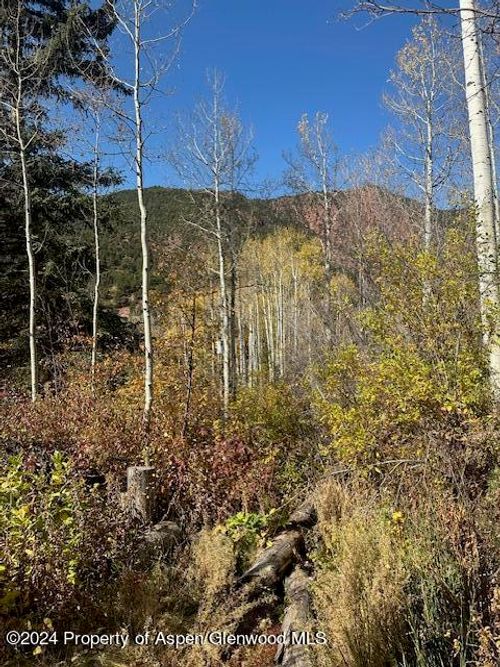 349 Crystal Cir, Carbondale, CO, 81623-8637 | Card Image